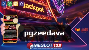 pgzeedava