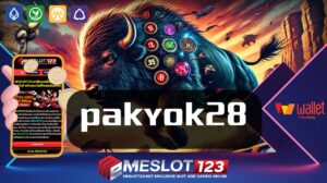 pakyok28