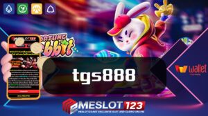 tgs888